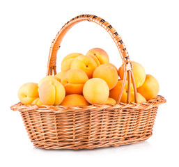 fresh apricots in a basket isolated on white background