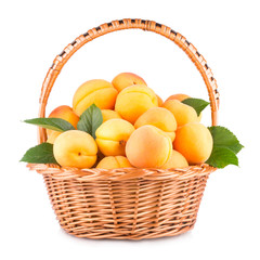 fresh apricots in a basket isolated on white background