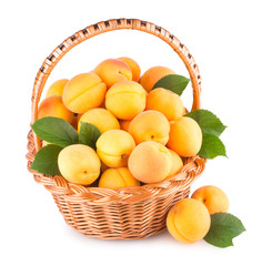 fresh apricots in a basket isolated on white background