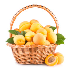 fresh apricots in a basket isolated on white background