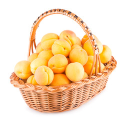 fresh apricots in a basket isolated on white background