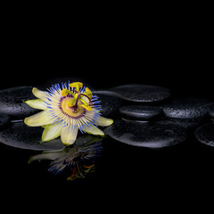 spa still life of passiflora flower on zen stones with reflectio