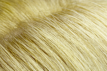 blondes Haar