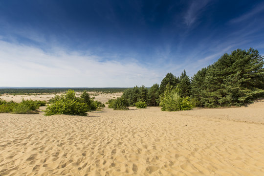 Fototapeta Bledow Desert, in Poland.