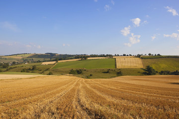 patchwork harvest landscape