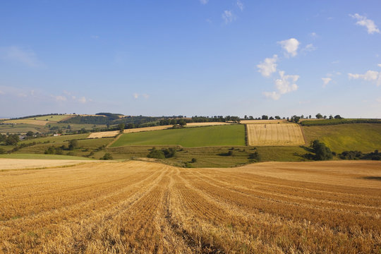 Patchwork Harvest Landscape