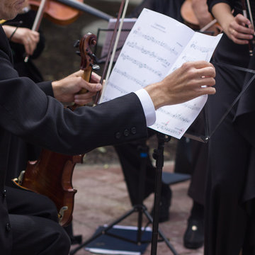 Hands violinist Leaf notes.