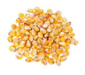 maize grains on white background