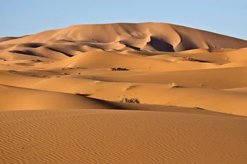 Fototapeten Wüstendünen © maurosessanta