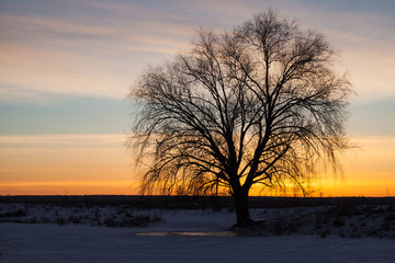 Fototapeta na wymiar Winter landscape, dawn over the river