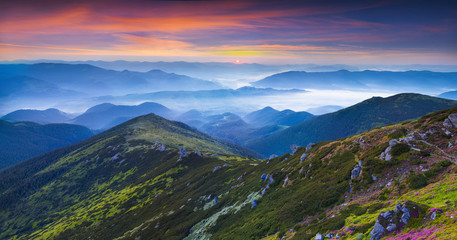 Fototapeta premium Colorful summer panorama of the mountains.