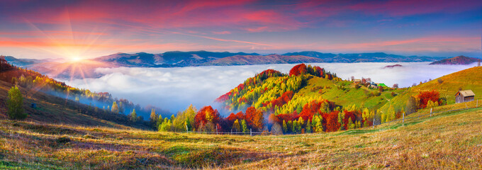 Colorful autumn panorama of the mountains. - obrazy, fototapety, plakaty