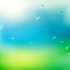Green, sunny background.