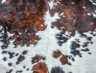 Peau de vache