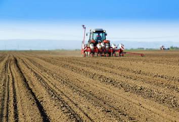 Obraz premium Farmer in tractor sowing crops at field