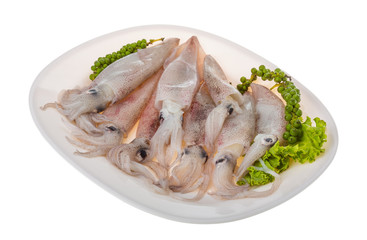 Raw calamari
