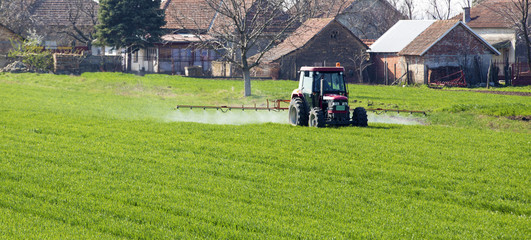 Fototapeta premium Farmer spraying wheat field at spring season