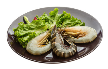 King and waterleg shrimps
