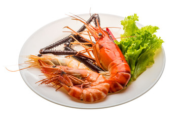 Giant Freshwater Prawn and king prawns