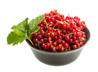 Red currant