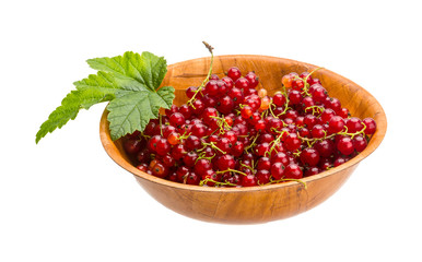 Red currant