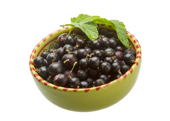 Black currant