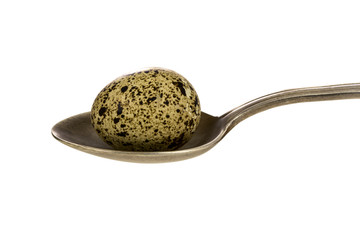 Quails egg
