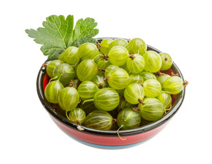 Gooseberry