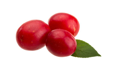 Damson plum