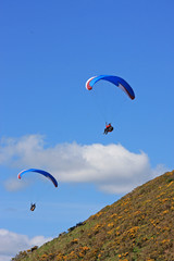 paragliders over Rhossili
