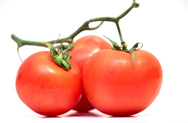 pomodori