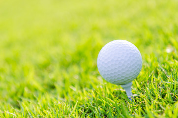 Golf ball on green grass