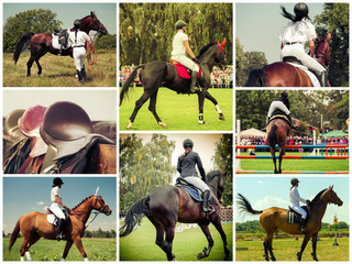 Collage of Rider on horse