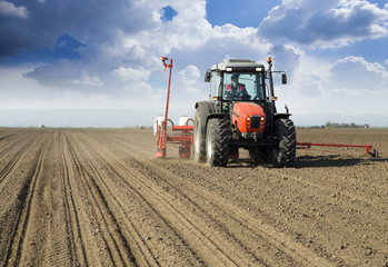 Fototapeta premium Farmer in tractor sowing crops at field
