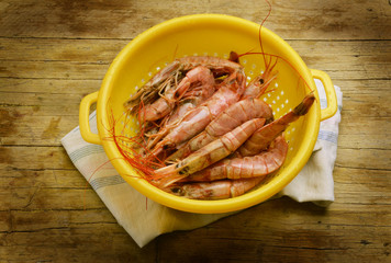 Camarão Gamberi Crevettes Shrimps 虾 Garnelen روبيان Gamba