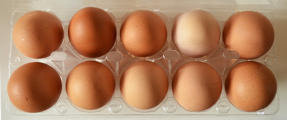 the brown eggs in egg box