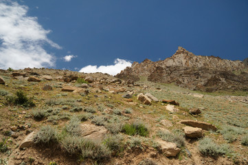 Beautiful view of mountain on the way to Parkachik Glacier in La