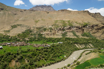 Beautiful oasis in summer, Ladakh,Northern India