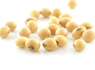 the soya beans on white background