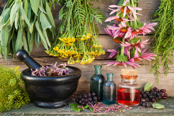 bunches of healing herbs on wooden wall, mortar, bottles and ber
