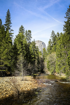 Fluß im Sequoia National Park, USA