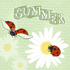 Summer cartoon background with ladybugs.