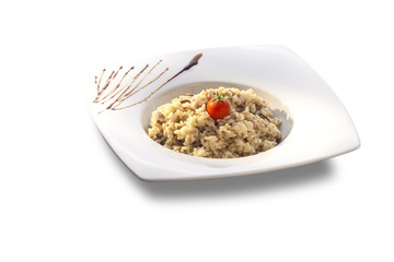 rice with pieces of meat