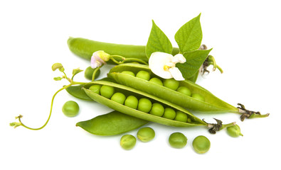 Fresh Garden Peas