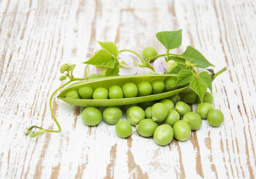 Fresh Garden Peas