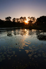 Sunset at a pond in Sabah, East Malaysia, borneo