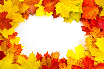 Naklejka na ściany i meble maple leaves frame with clipping path included