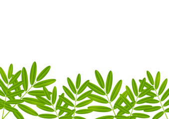 Green leaves border for Your design