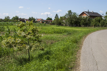 Fototapeta na wymiar Rural scene - field and houses