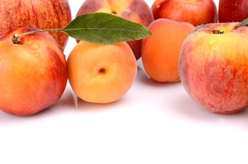 Several peaches,apricots,nectarines and apples isolated on white